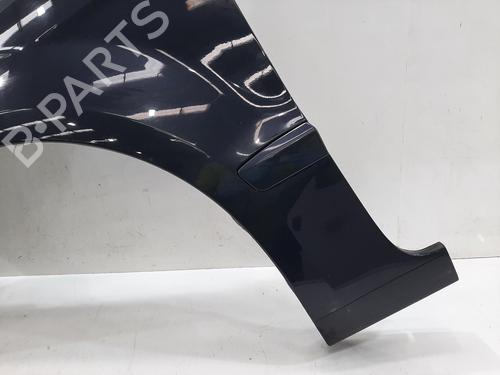 Left front fenders FORD GALAXY II (WA6) 2.0 TDCi | BP26842460C41 