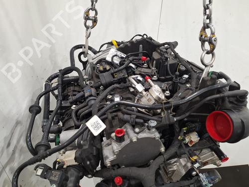 Engine FORD PUMA (J2K, CF7) 1.0 EcoBoost mHEV | BP31009586M1 