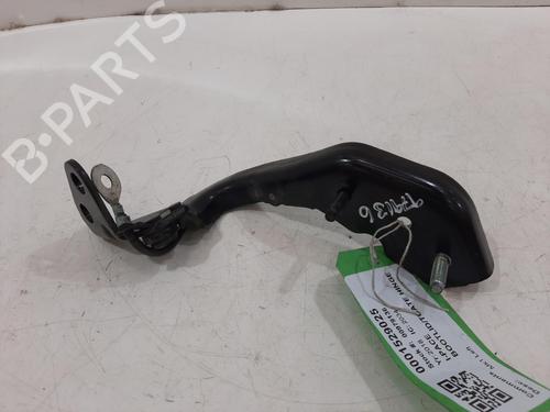 Hinge/Door check strap JAGUAR I-PACE (X590) EV400 AWD | BP29496570C146 