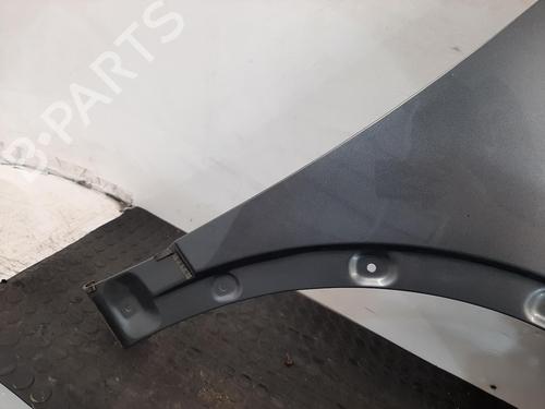 Right front fenders NISSAN QASHQAI I (J10, NJ10) 1.6 | BP29444678C42 