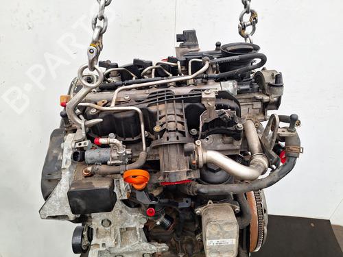 Engine SKODA FABIA II (542) 1.6 TDI | BP36290389M1 - Image 6