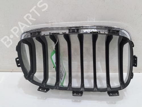 Grille BMW 1 (F20) 116 d | BP29058707C40 