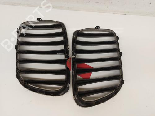 Grille BMW X1 (E84) sDrive 20 d | BP26826768C40 