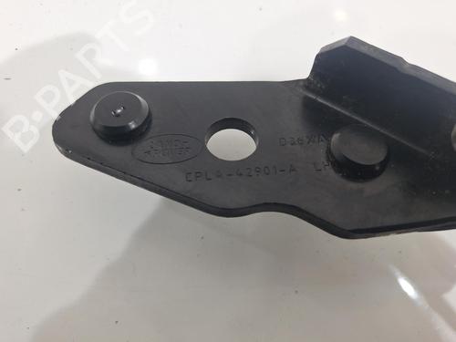 Hinge/Door check strap LAND ROVER RANGE ROVER IV (L405) 4.4 SDV8 4x4 | BP32422721C146