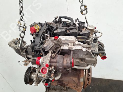 Engine FORD FIESTA VI (CB1, CCN) 1.0 EcoBoost | BP37072658M1 - Image 5