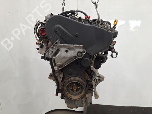 Motor VW GOLF VII (5G1, BQ1, BE1, BE2) 1.6 TDI (110 hp) 29553852