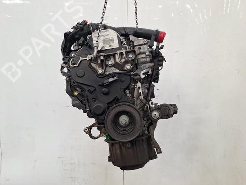 BP31977950M1 main image