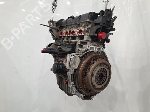 Used Engine FORD FIESTA VI (CB1, CCN) 1.25 (82 hp) 32172118