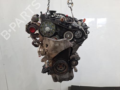 Motore VW POLO V (6R1, 6C1) 1.2 TDI (75 hp) 31751429