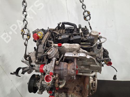 Engine FORD FIESTA VI (CB1, CCN) 1.0 EcoBoost | BP31903764M1 