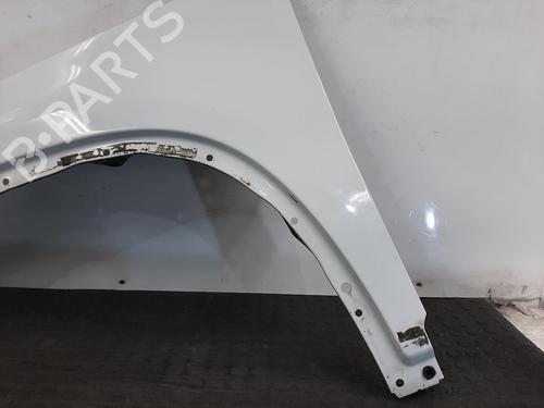 Left front fenders VW TIGUAN (5N_) 2.0 TDI 4motion | BP29524519C41 