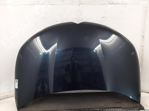 Used Hood CITROËN C4 II (NC_) 1.6 HDi 110 (112 hp) 31650286