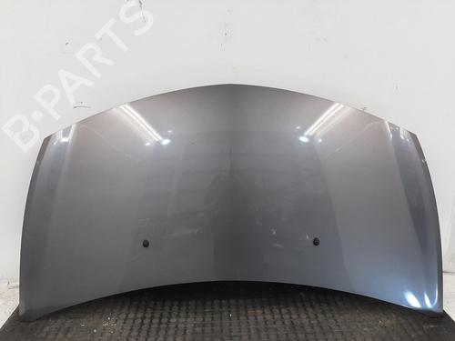 Used Hood RENAULT CLIO III (BR0/1, CR0/1) 1.2 16V (BR0P, CR0P) (101 hp) 26935647