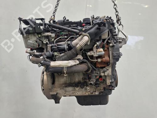Motor FORD C-MAX II (DXA/CB7, DXA/CEU) 1.6 TDCi | BP29810116M1 