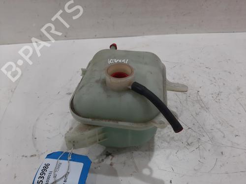 Used Expansion tank HYUNDAI i20 II (GB, IB) 1.0 T-GDI (101 hp) 29882718