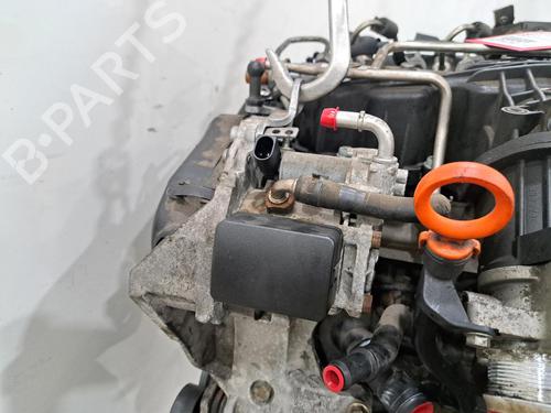 Engine SEAT IBIZA IV (6J5, 6P1) 1.6 TDI | BP29496824M1 