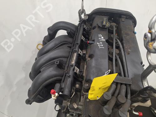 Engine FORD FOCUS II (DA_, HCP, DP) 1.6 | BP31628588M1 