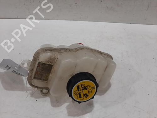 Used Expansion tank JAGUAR I-PACE (X590) EV400 AWD (400 hp) 30829342