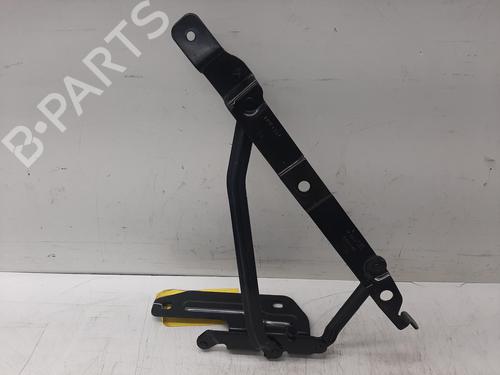 Used Hinge/Door check strap JAGUAR F-TYPE Convertible (X152) 2.0 Ti4 (300 hp) 30516592
