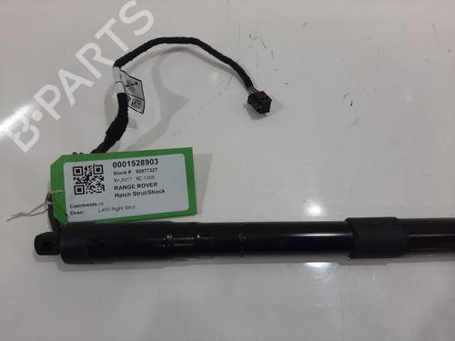 Støddæmperfjeder LAND ROVER RANGE ROVER IV (L405) 4.4 SDV8 4x4 | BP29553614C152 