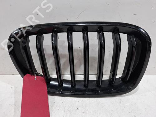 Grill Grill BMW 1 (F20) 116 d (116 hp) 39538510 39538510