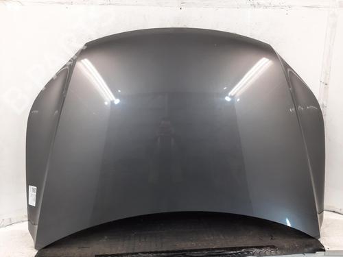 Used Hood VW TIGUAN (5N_) 2.0 TDI 4motion (140 hp) 31009730