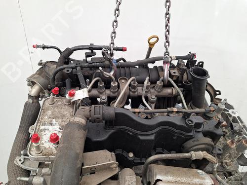 Engine LAND ROVER RANGE ROVER EVOQUE (L538) 2.0 D 4x4 | BP38568460M1 - Image 6