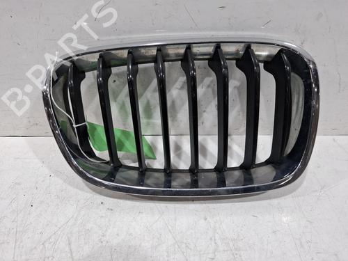 grille-bmw-1-f20-2011-2012-2013-2014-2015-2016-2017-2018-2019-39506832 main image