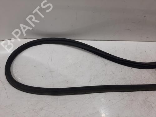 Gummiliste BYD DOLPHIN EV | BP37160395C142 - Image 3
