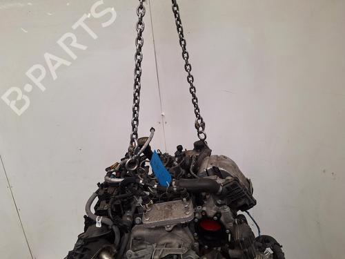 Engine LAND ROVER RANGE ROVER EVOQUE (L538) 2.0 D 4x4 | BP38305072M1 - Image 5