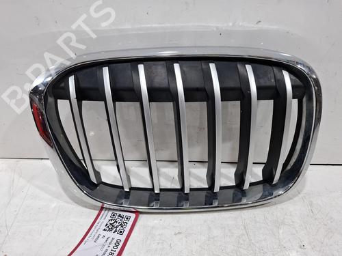Used Grille Grille BMW X1 (F48) xDrive 18 d (150 hp) 40047049 40047049