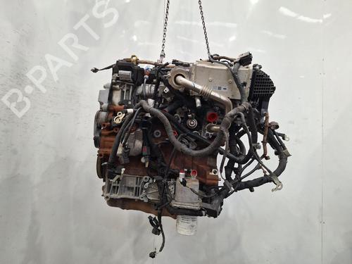 Engine FORD KUGA III (DFK) 2.0 EcoBlue 4x4 | BP39471062M1 - Image 4