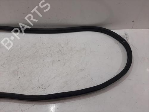 Gummiliste BYD DOLPHIN EV | BP37160398C142 - Image 2