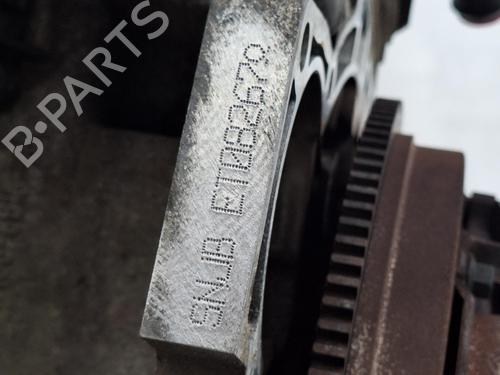 Engine FORD FIESTA VI (CB1, CCN) 1.25 | BP28085356M1 