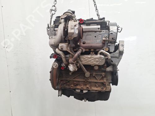 Engine VW GOLF VI Convertible (517) 1.6 TDI | BP39176730M1 - Image 4