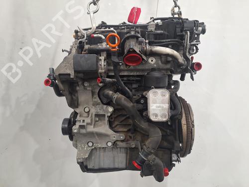 Engine VW GOLF VI (5K1) 1.6 TDI | BP29496815M1 