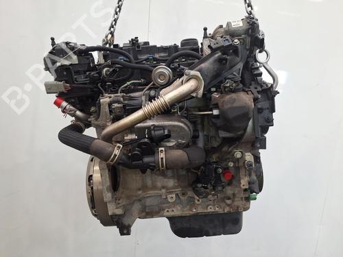 Engine FORD C-MAX II (DXA/CB7, DXA/CEU) 1.5 TDCi | BP29397966M1 