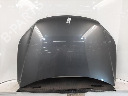 Used Hood Hood VW TIGUAN (5N_) 2.0 TDI 4motion (140 hp) 33815078 33815078