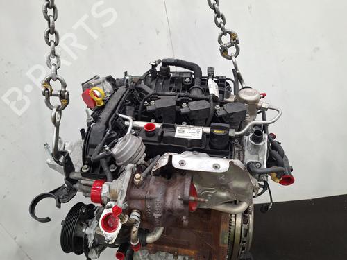 Engine FORD FIESTA VII (HJ, HF) 1.0 EcoBoost | BP30789924M1