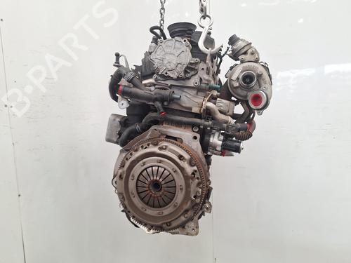 Engine VW GOLF VI Convertible (517) 1.6 TDI | BP39176730M1 - Image 3