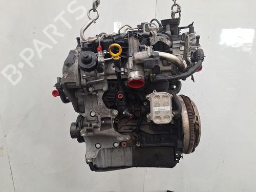 Engine VW TIGUAN (5N_) 2.0 TDI 4motion | BP29742340M1