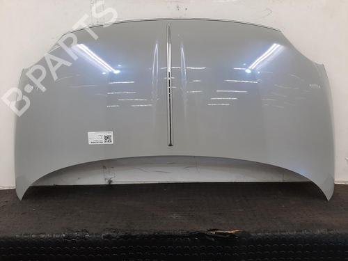 hood-fiat-500-c-312_-2009-39118794 main image
