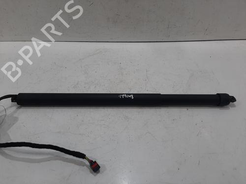 BP31768966C152 main image