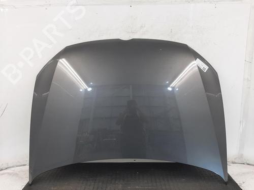 Used Hood VW POLO V (6R1, 6C1) 1.2 (60 hp) 28069480