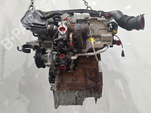Motor FORD FIESTA VI (CB1, CCN) 1.0 EcoBoost | BP29882470M1