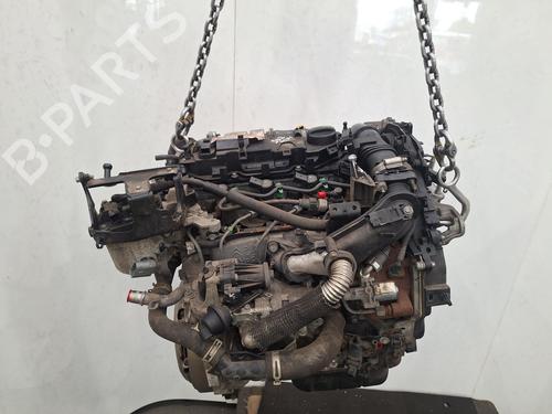 Engine FORD FOCUS III 1.6 TDCi | BP28115121M1 