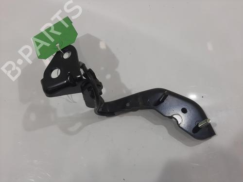 Hinge/Door check strap JAGUAR I-PACE (X590) EV400 AWD | BP29553843C146 