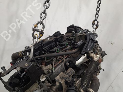 Engine FORD FOCUS III Turnier 1.6 TDCi | BP39724588M1 - Image 6