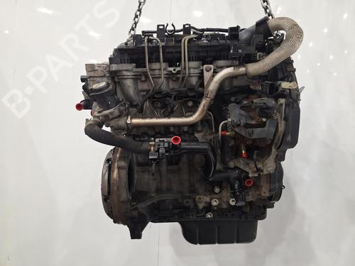Motor FORD FUSION (JU_) 1.6 TDCi | BP29946255M1 