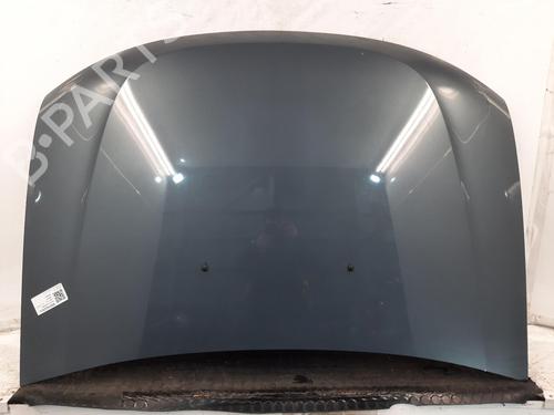 motorhjelm-dacia-duster-hs_-2010-2011-2012-2013-2014-2015-2016-2017-2018-31769239 main image